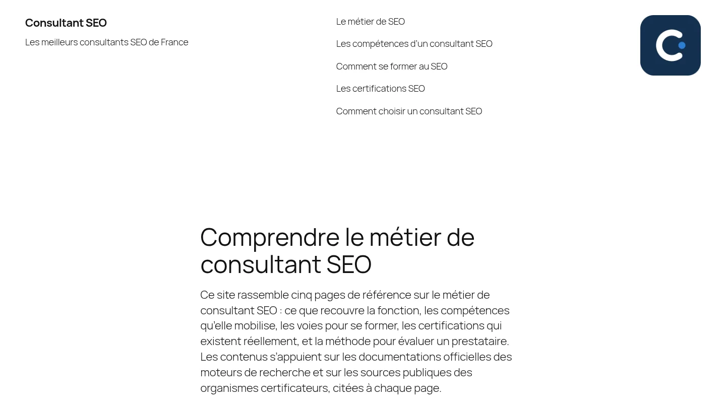 Capture de la page d’accueil de Consultant SEO